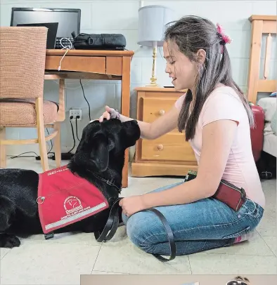  ?? NIKKI WESLEY METROLAND ?? Burlington's Abigail Neill, 11, meets her new diabetes alert dog Icelyn, a 20 month old black lab, at the Lions Dog Guides facility in Oakville. Carrie Lemay, 43, sits with her new diabetic alert dog, Freckles, at the Dog Guides Canada facility in Oakville.