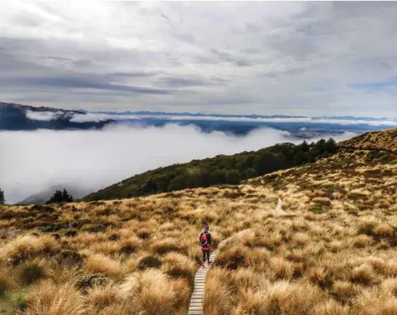  ??  ?? Above: Leaving Luxmore Hut on the Keplar Track Below L-R: Fishing with Fiordland Outdoors Company on the Waiau River / Catch of the day / Fiordland Helicotors provided our ride to Luxmore Hut on the Keplar track