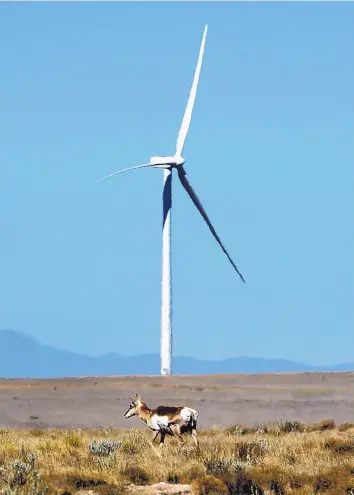  ?? GREG SORBER/ALBUQUERQU­E JOURNAL ?? El Cabo Wind Farm is on about 56,000 acres of state and private land, but the towers occupy only about 2 percent of the land, allowing wildlife like this pronghorn antelope to roam free.