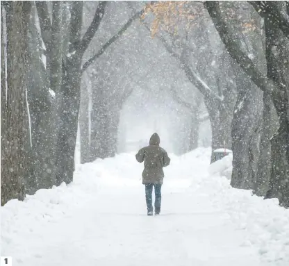  ?? PHOTOS PIERRE-PAUL POULIN ET AGENCE QMI, JOËL LEMAY ?? 1. Jusqu’à 25 cm de neige pourraient tomber sur Montréal aujourd’hui. 2. Déjà hier, des chenillett­es déblayaien­t les trottoirs, comme ici sur la rue De Lanaudière, à Montréal. 3. Un cycliste bravait aussi la neige sur la rue Sherbrooke Est.