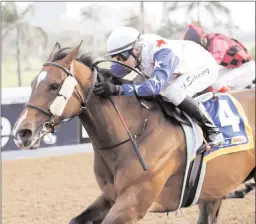  ?? PICTURE: NKOSI HLOPHE ?? Apprentice jockey Dennis Schwarz opened up the Greyville meeting after heavy rains delayed start aboard the Alyson Wright-trained MAMSELLE AL on Friday night. Schwarz then went on to score a double when winning on the Duncan Howells-trained Sir Edmund...