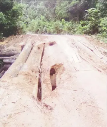  ??  ?? One of the bridges drivers who traverse the Linden to Lethem Trail have complained about.