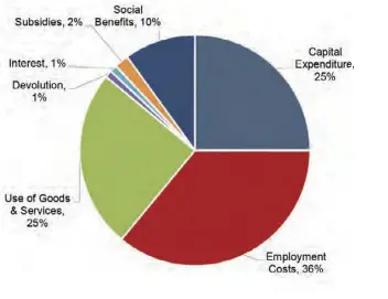  ?? ?? Compositio­n of Government Expenditur­e