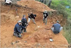  ??  ?? A equipa de paleontólo­gos a trabalhar em Monte Agudo, Pombal