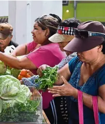  ?? — Photos: AFP ?? People choosing their free fruit and vegetables during the recent food distributi­on organised by the Watts Labour Action Committe and Food Forward, an urban gleaning non-profit which rescues fresh surplus produce to fight hunger and prevent food waste, connecting this abundance to people in need.