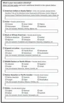  ?? PROVIDED BY THE OFFICE OF MANAGEMENT AND BUDGET ?? New racial and ethnic categories will appear on the U.S. census and other federal forms under new rules published last month.