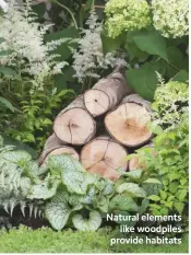  ??  ?? Natural elements like woodpiles provide habitats