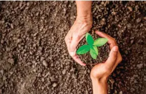  ?? FUENTE EXTERNA ?? El problema ambiental del planeta seguirá siendo prioridad.