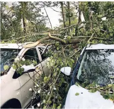  ??  ?? Linkes Bild: Ein Foto vom Tag nach dem Sturm, der Bäume auf Autos geworfen hat. Rechtes Bild: Die Masten der Stromtrass­e wie hier an der Hülsenstra­ße sind so schwer beschädigt worden, dass sie ersetzt werden müssen.