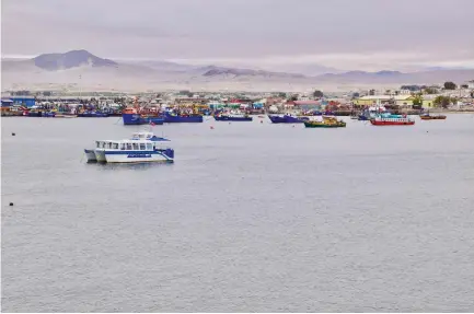  ?? (Mark Johanson/for the Chicago Tribune/TNS) ?? CALDERA IS one of the few coastal population centers in the southern Atacama Desert.