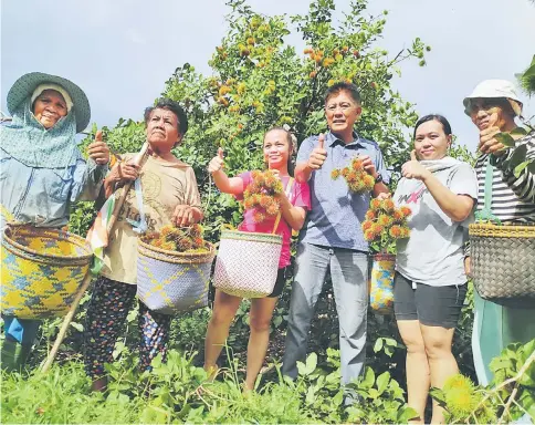  ??  ?? Fama Sarawak deputy director Jaafar Lian (third right) and several villagers show some of the rambutans harvested from their farm.