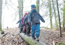  ?? FOTO: DPA ?? Spielen im Wald und am besten auch mit Tieren: Überlegung­en für ein neues Kindergart­en-Konzept in Eßlingen laufen.