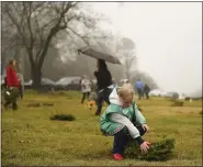  ?? LAUREN A. LITTLE — MEDIANEWS GROUP ?? Shelby Schwab, 10, of Honeybrook, lays a wreath during Wreaths Across America at Forest Hills Memorial Park on Dec. 14.