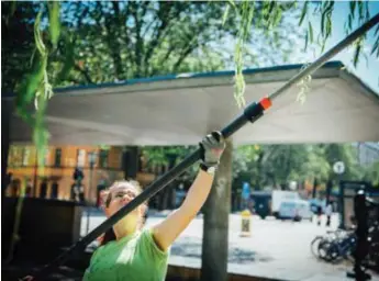  ?? FOTO: SACHARIAS KÄLLDÉN ?? SOMMARJOBB. Tusentals ungdomar får i år ett arbete under sommarlove­t via kommunen. En vanlig syssla är parkskötse­l.