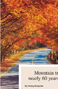 A must-try challenge: Hiking Korea’s mountains | The Korea Herald ...