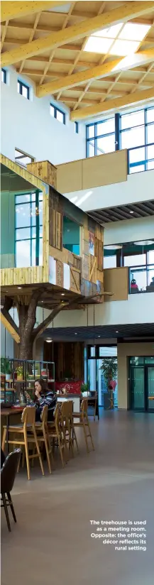  ??  ?? The treehouse is used as a meeting room. Opposite: the office’s décor reflects its rural setting