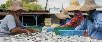  ?? — Bernama photo ?? The agricultur­e, forestry and fishing sector went up 4.3 per cent (February 2024: 2.6 per cent) due to growing of perennial crops (7.4 per cent) and animal production (1.0 per cent) indices.