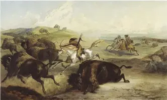  ?? ?? Sloat planned to stage a bison hunt for the “moving pictures.” Shown: “Indians Hunting Bison” by Karl Bodmer, Tableau 31, Maximilian Prince of Wied’s Travels in the Interior of North America, during the years 1832-1834, London, 1843-1844. (Wikimedia Commons, public domain.)