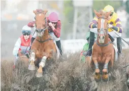  ?? Photo / Trish Dunell ?? Yardarm (left) and It’s A Wonder clear a fence during the Hawke’s Bay Steeplecha­se (4800m) yesterday.