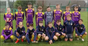  ??  ?? The successful Wexford Under-12 squad in Arklow on Saturday.