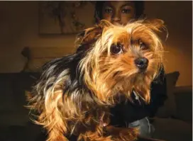  ?? BILL O’LEARY/THE WASHINGTON POST VIA AP ?? Semaj Witherspoo­n, 13, poses with her Yorkshire Terrier, Avery, at home Dec. 22 in Landover, Md.