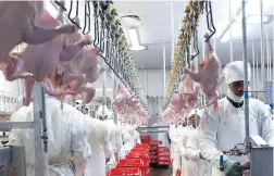  ??  ?? UNDER PRESSURE: Rainbow Chicken workers face retrenchme­nt.
