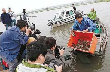  ??  ?? Autumn delicacy: A fisherman showing reporters Yangchengh­u hairy crabs that he has just caught in Yangcheng Lake. The crabs are of the best quality in late October.
