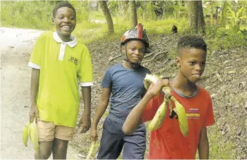  ?? (Photo: Garfield Robinson) ?? Boys in St Thomas with plantains which were blown off trees during heavy winds from Tropical Storm Grace on August 18, 2021.
