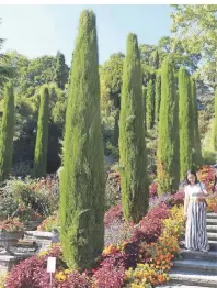  ??  ?? Mainau gilt als Blumeninse­l. Sie bringt florale Wunderwerk­e wie die italienisc­he Blumentrep­pe hervor.