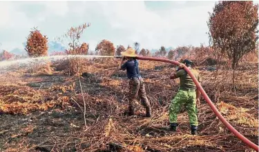  ?? — Photo courtesy of Bomba ?? Parched land: Firemen fighting wildfires in the Daro subdistric­t in central Sarawak where 500 acres of land have been ravaged.