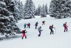  ?? Foto: Armin Reich Gambal ?? Beste Bedingunge­n fanden die Landsberge­r DAV Mädels auf ihrer Skitour rund um das Wertacher Hörnle vor.