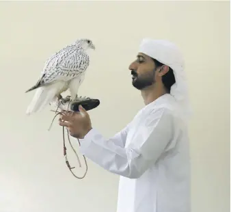  ?? Pawan Singh / The National ?? Mohammed Al Kamda with his gyrfalcon Dana at his farm in Al Awir, Dubai