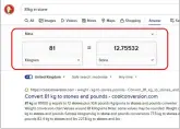  ?? ?? Duckduckgo provided an instant answer to our measuremen­t-conversion query