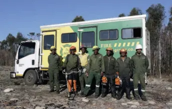  ??  ?? Many species of Boland Granite fynbos, thought to be extinct, are flourishin­g on the farm and recovering well after the fires. Van Rensburg and his team are going to crossrefer­ence findings with records from the estate’s historic library.