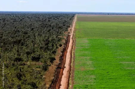  ??  ?? Los monocultiv­os industrial­es son la principal causa de la deforestac­ión en Sudamérica. En la foto, cultivos de soya se expanden a costa del bosque de cerrado, en Ribeiro Gonçalves, nororiente brasileño.