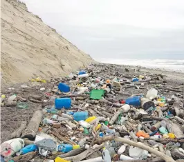  ??  ?? Microplást­icos. En el mar están acumulados 50 mil millones de microplást­icos, los cuales son ingeridos por los animales.