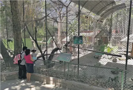  ??  ?? Aviario. Las autoridade­s del zoológico encontraro­n el domingo un agujero en el recinto de las guaras. Presumen que personas lo hicieron para hurtar a las cinco aves.