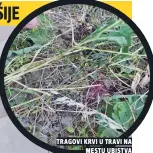  ??  ?? tragovi krvi u travi na mestu ubistva