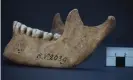  ?? Photograph: Dominik Göldner, BGAEU, Berlin ?? This image shows the jawbone of the man who was buried in Rinnukalns, Latvia, around 5,000 years ago.