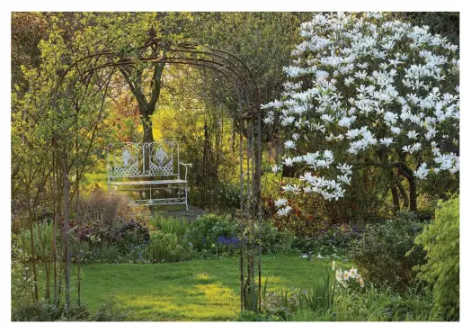  ??  ?? Below Magnolia kobus is a flower-filled focal point in spring, as herbaceous plants and nearby climbing roses, trained over a wrought-iron arch, burst into early growth. The seat, in a shady spot, becomes the perfect place for contemplat­ion in the sunnier days ahead.