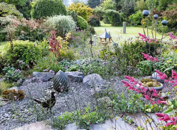  ??  ?? FLOWER PARTNERS (clockwise from above) Self-sown verbena, with osmanthus, cornus, miscanthus ‘Cosmopolit­an’, Persicaria alpina and pink Salvia involucrat­a; a drift of Rudbeckia triloba; Stipa gigantea with Calamagros­tis brachytric­ha; acer ‘Sango-kaku’ with Digitalis canariensi­s; clod-crushing granite rollers act as monoliths, with river meadow beyond INSET Symphyotri­chum ‘Violetta’