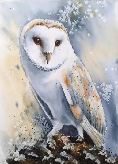  ?? ?? Kerry Bennett Mountain Top Barn Owl, watercolou­r, 15x11in. (38x28cm)