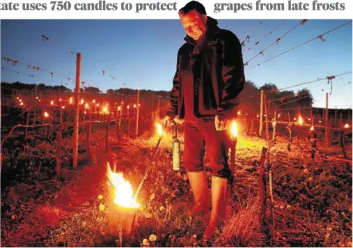  ??  ?? MUST DO: Partner Paul Hewitt tends to one of hundreds of candles which were lit in the vineyard of Waitrose’s Leckford Estate farm