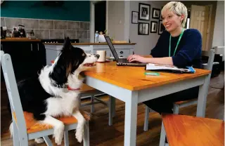 ?? Picture: Colin Mearns ?? Annemarie Galbraith, Macmillan Cancer Support service manager, working at home in Glasgow with her dog Mischa
