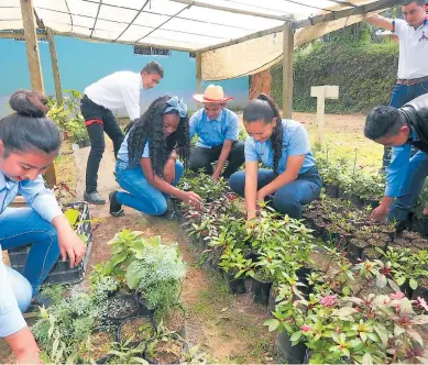  ?? FOTOS: MOISÉS VALENZUELA ?? Los alumnos trabajan el proceso de siembra y cosecha de plantas.