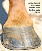  ??  ?? A flat-footed horse may benefit from having pads fitted