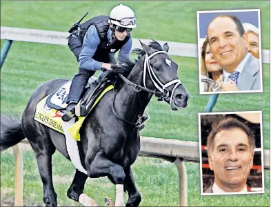  ?? AP (2); Storms Media Group ?? HORSE POWERS: Always Dreaming, working out Friday at Churchill Downs, will try to bring Williamsbu­rg natives and owners Anthony Bonomo (inset top) and Vinnie Viola a Kentucky Derby title.