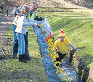  ??  ?? Katie Falconer starts the duck race at Kirriemuir.