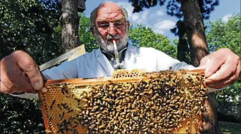 ?? Foto: Marco Schmidt ?? Für die Bienen auf der Ega ist die Saison vorbei. Eberhard Wetzel betreut den Schau- und Lehrbienen­stand des Imkerverei­ns Erfurt und hat insgesamt sechs Ableger der Bienenvölk­er zum Wachsen in eigene kleine Kästen umgesetzt, wo sie sich zu eigenen...