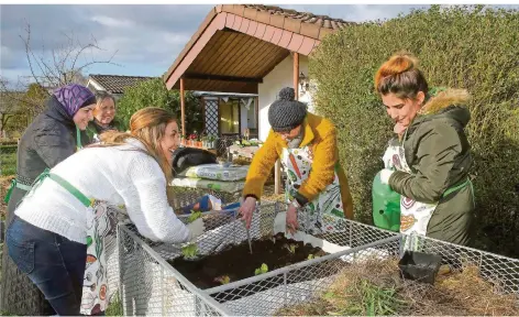  ?? FOTO: IRIS MAURER ?? Im interkultu­rellen Frauengart­en in Dillingen arbeitet man gemeinsam für das Gemüse: Sawsan Mahmaud, Ghaysaa Alsaid, Birgit Loris, Ülkü Ayyildiz und Faizah Ibrahem (v.l.) pflanzen Salat in ein Hochbeet.